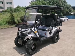 Capaciteit 4 zitplaatsen Groene elektrische shuttle auto Resort voertuigen Hoge prestaties