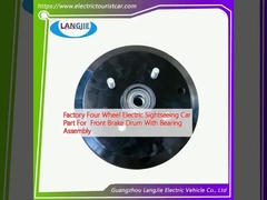 Fabriek Vier wielen elektrische toeristische auto onderdeel voor voorremtrommel met lager assemblage
