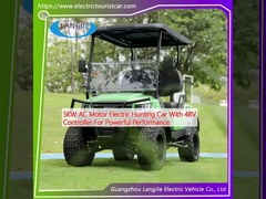 5 kW wisselstroommotor elektrische jachtwagen met 48 V controller voor krachtige prestaties