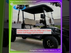 Custom Electric Club Car Utility Cart 2 zitplaatsen Electric Golf Buggy Cart Voor Hotel