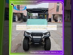 48V AC motor elektrische golfkar voor 2 personen elektrische bagagewagen met vrachtbus voor hotel