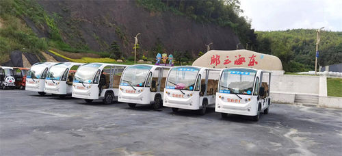 Het laatste nieuws van het bedrijf over Elektrische shuttlebus gebruikt in Hotel & Resort