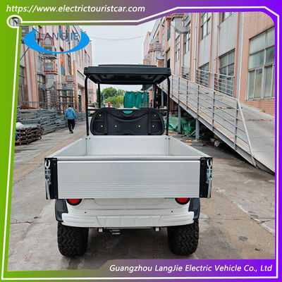 Witte kleur 2 Seats elektrische bagagewagen buggy met AC motor voor parkeren